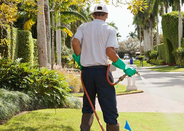 About Rentz GA Pest Control Pros